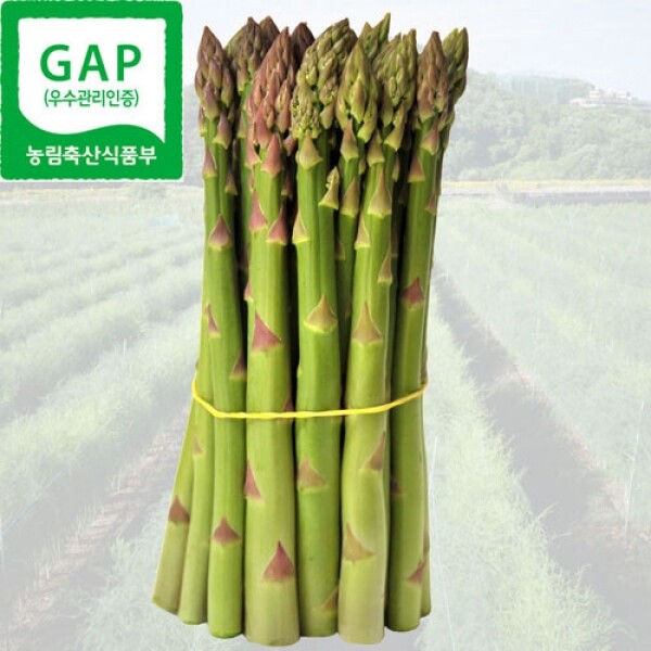 치악산 아스파라거스,아스파라거스 대(1~2번) 1k
